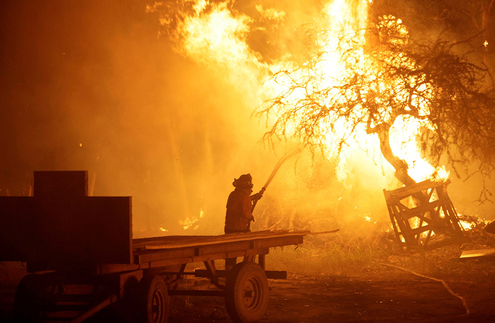 30 января лесные пожары в Чили всё продолжались