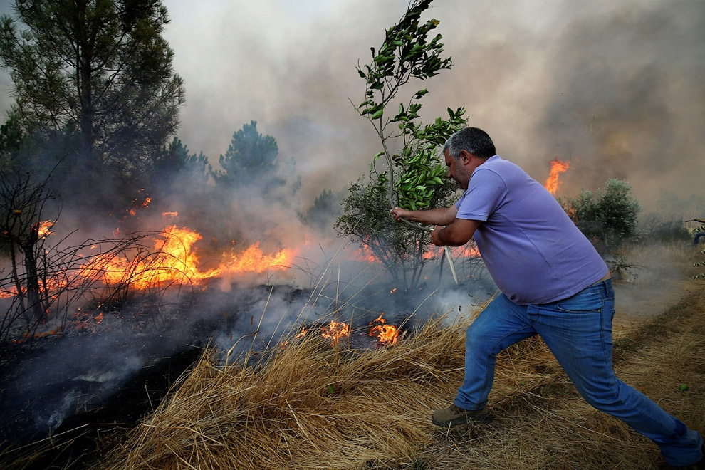 Местный житель борется с огнем в португальском городе Каштелу-Бранку