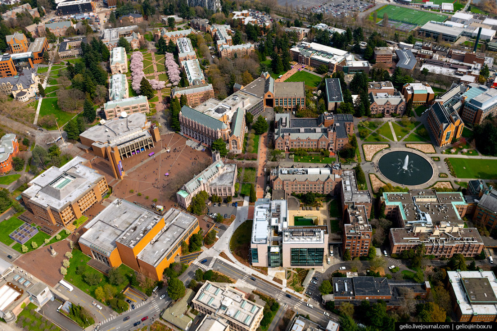   (University of Washington)