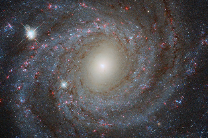  NGC 3344    