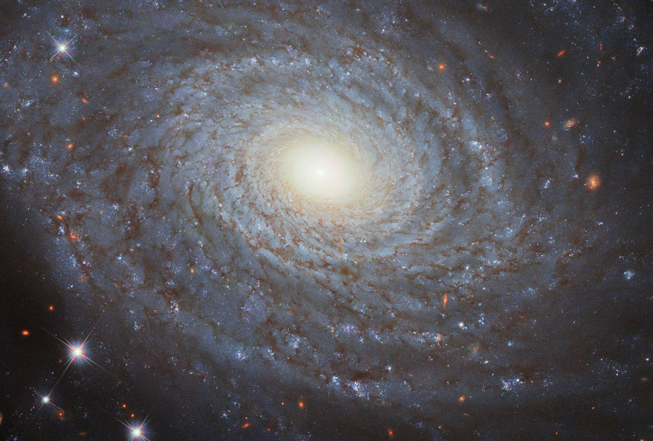 спиральная галактика NGC 691