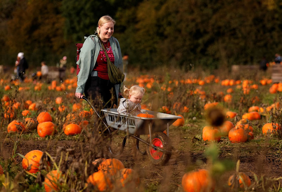 Harriet and her child pick pumpkins at The Pop up Farm ahead of Halloween, in Flamstead, St Albans, Britain, October 23, 2023. REUTERS/Andrew Couldridge