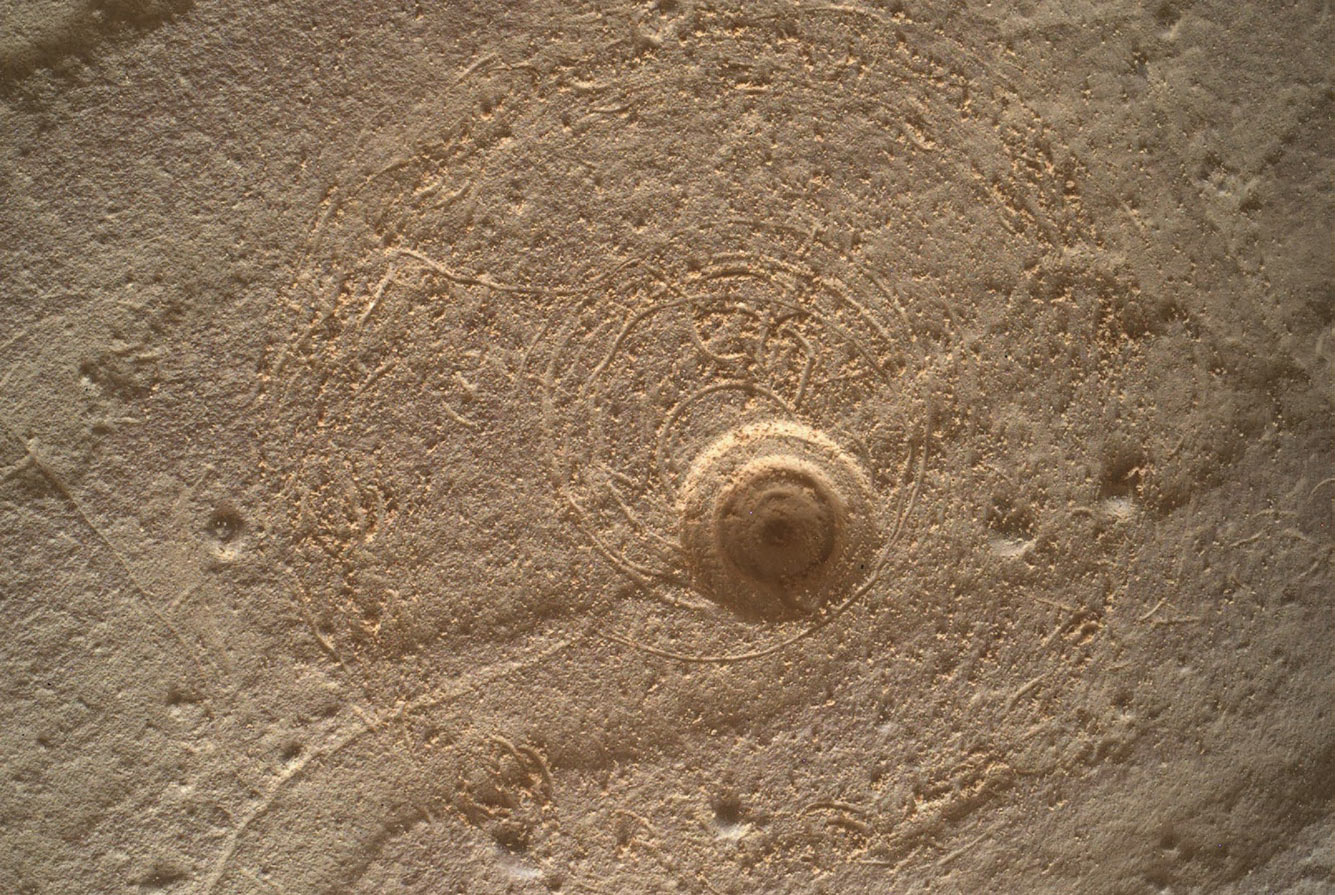 05