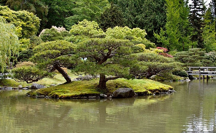 Японский сад в Сиэтле