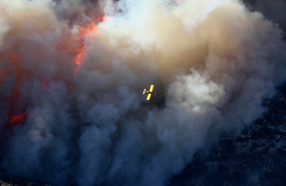 Самый крупный лесной пожар в истории Израиля