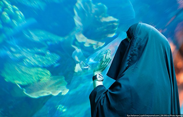 Крупнейший в мире аквариум в ТЦ в Dubai Mall