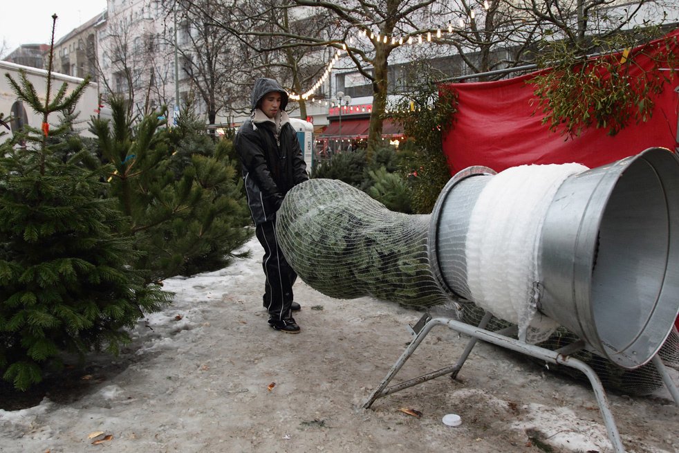 Охота за новогодними елками в Германии