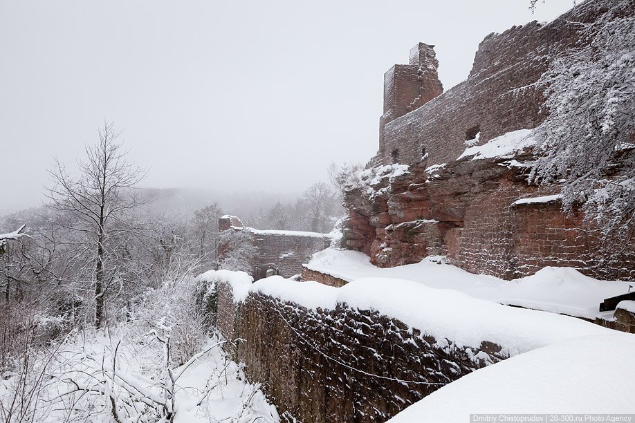 В поисках замков в Пфальцском лесу: снежный репортаж