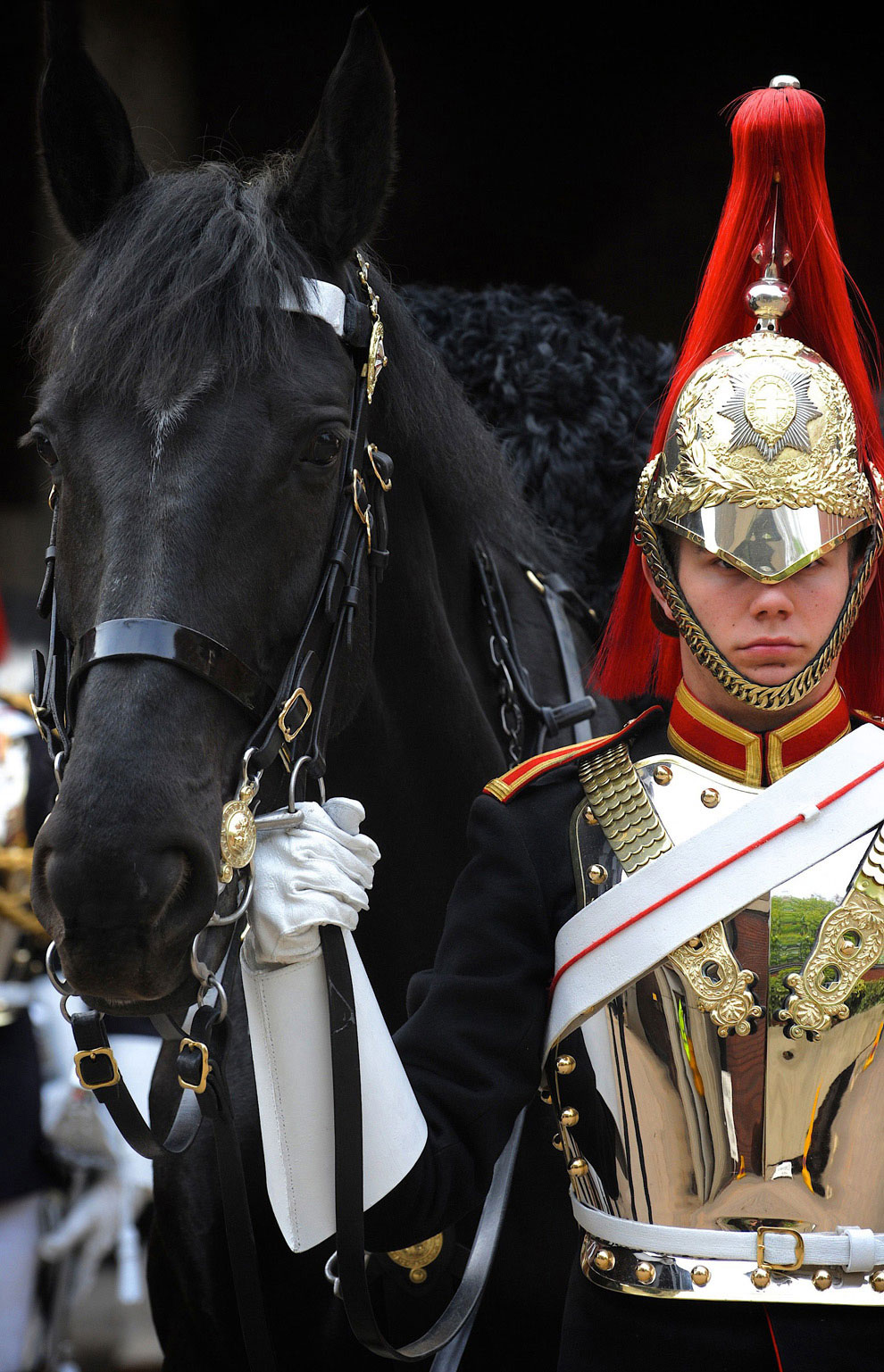 Дворцовая кавалерия британской армии