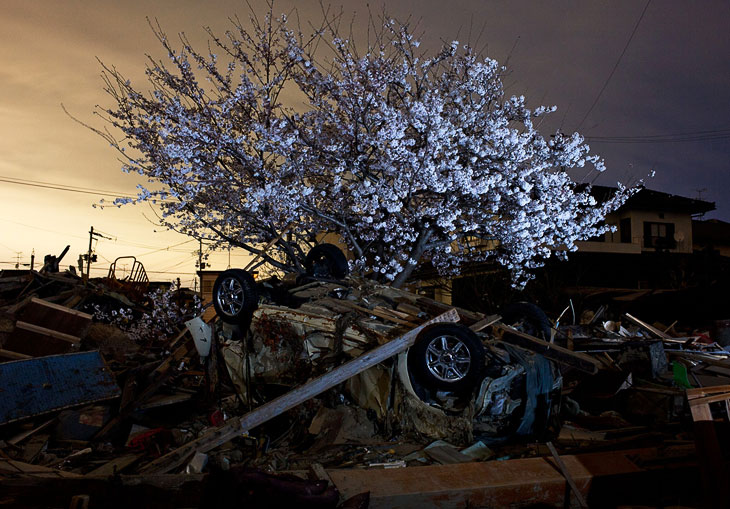 Землетрясение в Японии: два месяца спустя