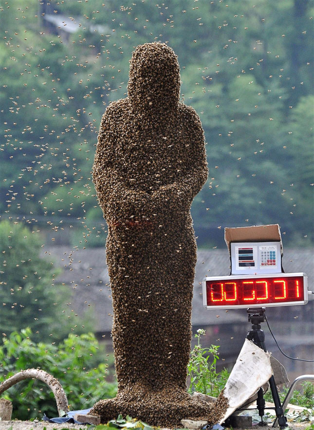 Конкурс на самый большой вес пчел на теле человека