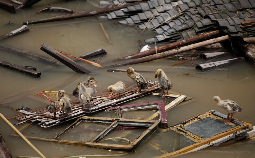 «Великая засуха» и сильнейшее наводнение в Китае