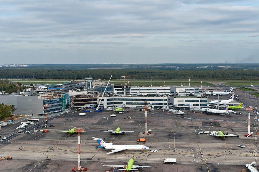 Аэропорт Домодедово в 2020 году