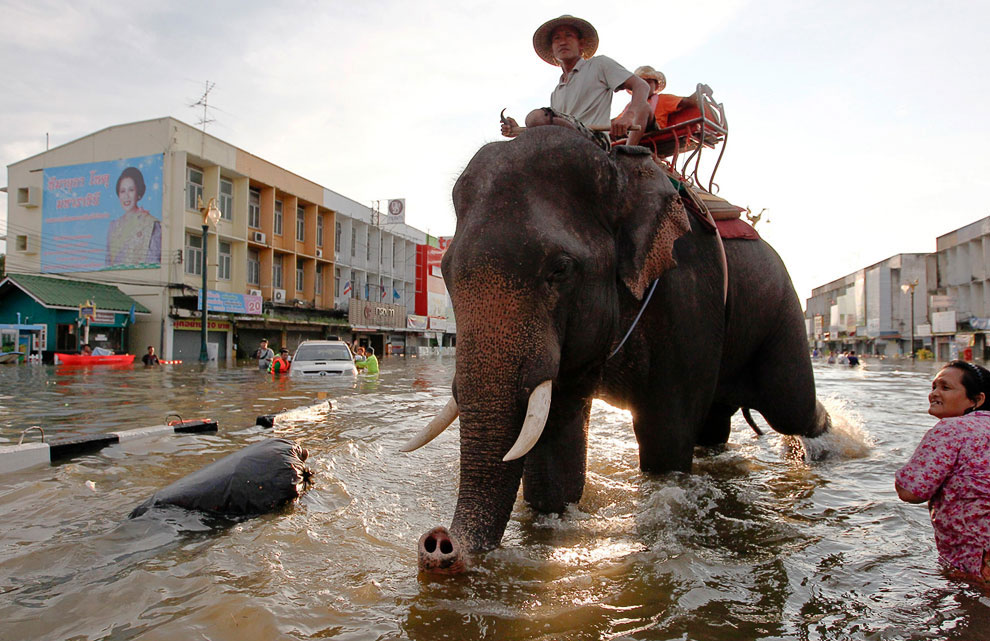 Сильнейшее за последние 100 лет наводнение в Таиланде