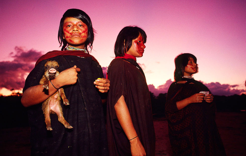 История Ашанинка — коренного народа джунглей Амазонки