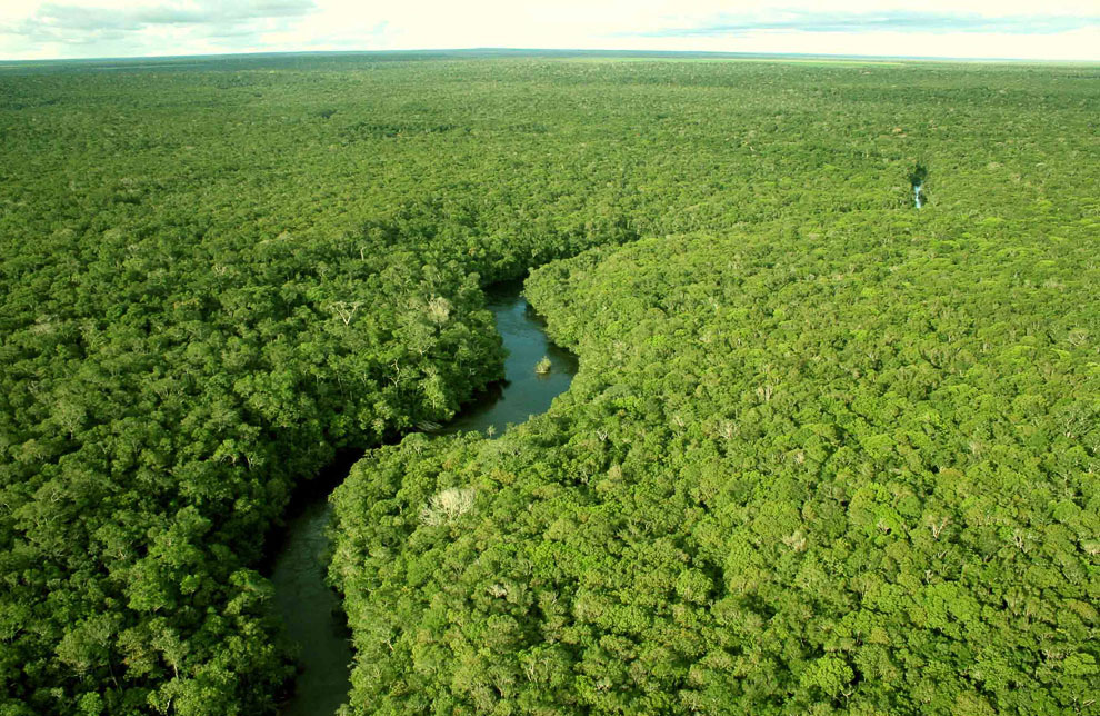 Джунгли Амазонки
