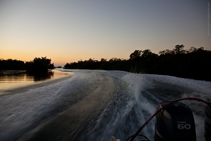 Куба: подводный мир в мангровых зарослях