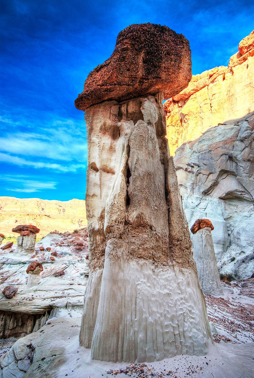 Каменные грибы из Аризоны