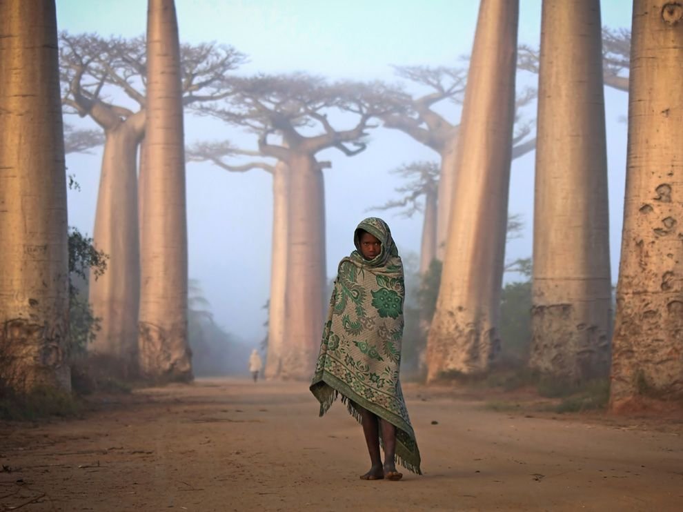 Девушка и баобабы, Мадагаскар