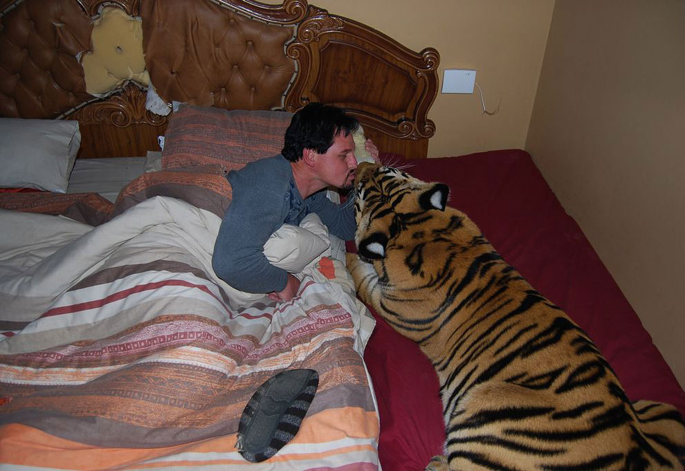 Пара из Южной Африки завела себе тигра
