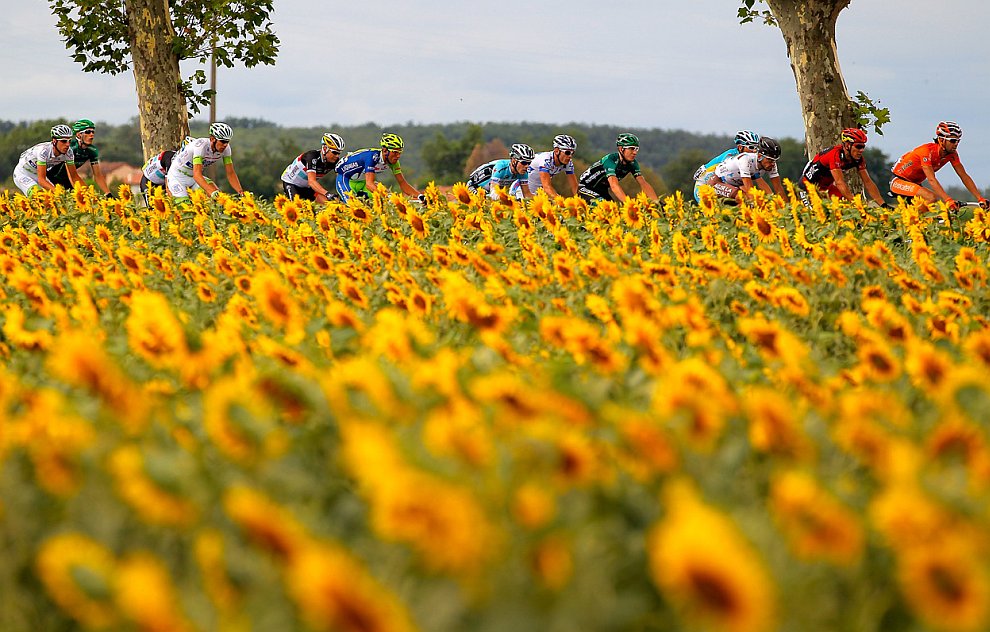 Велогонка Тур де Франс 2012