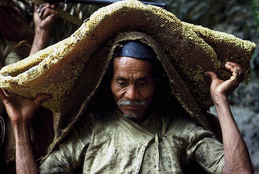 Охотники за диким медом в Непале