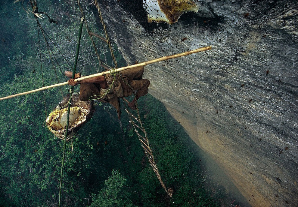 Охотники за диким медом в Непале
