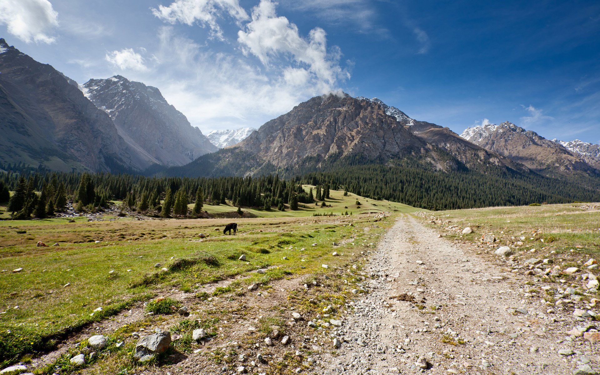 Долина. Долина Джууку. Иссык Кульская Долина. Кыргызстан ущелье Джууку. Альпийские Луга Киргизии.