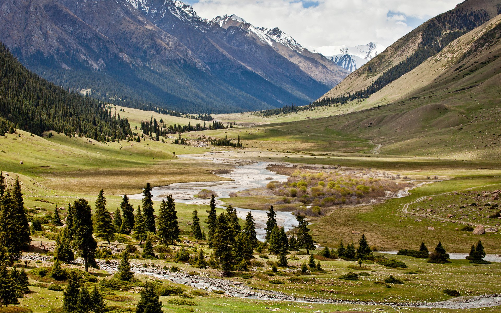 Межгорная долина это. Ущелье Джууку Киргизия. Киргизия Луга Тянь-Шаня. Киргизия горы Долина Арашан. Альпийские Луга Киргизии.