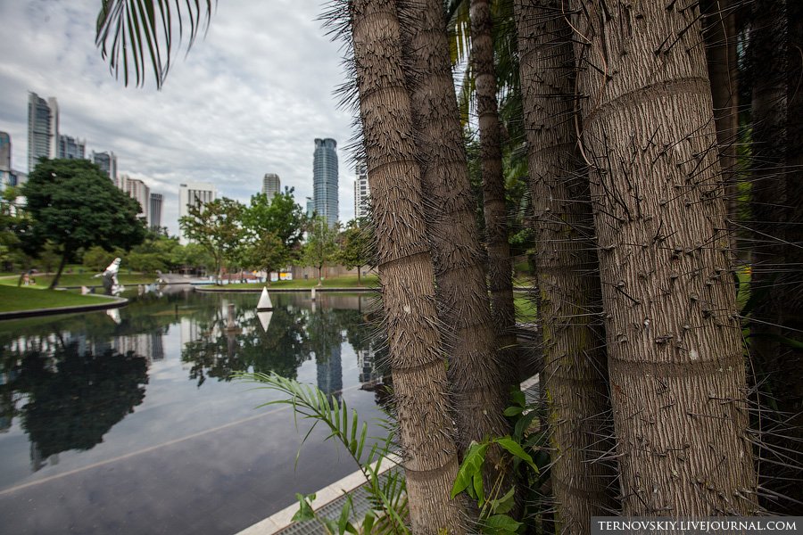 Парк Petronas Twin Towers