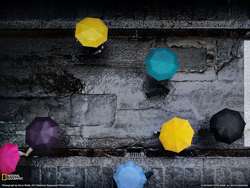 Разноцветные зонтики в романтической Флоренции
