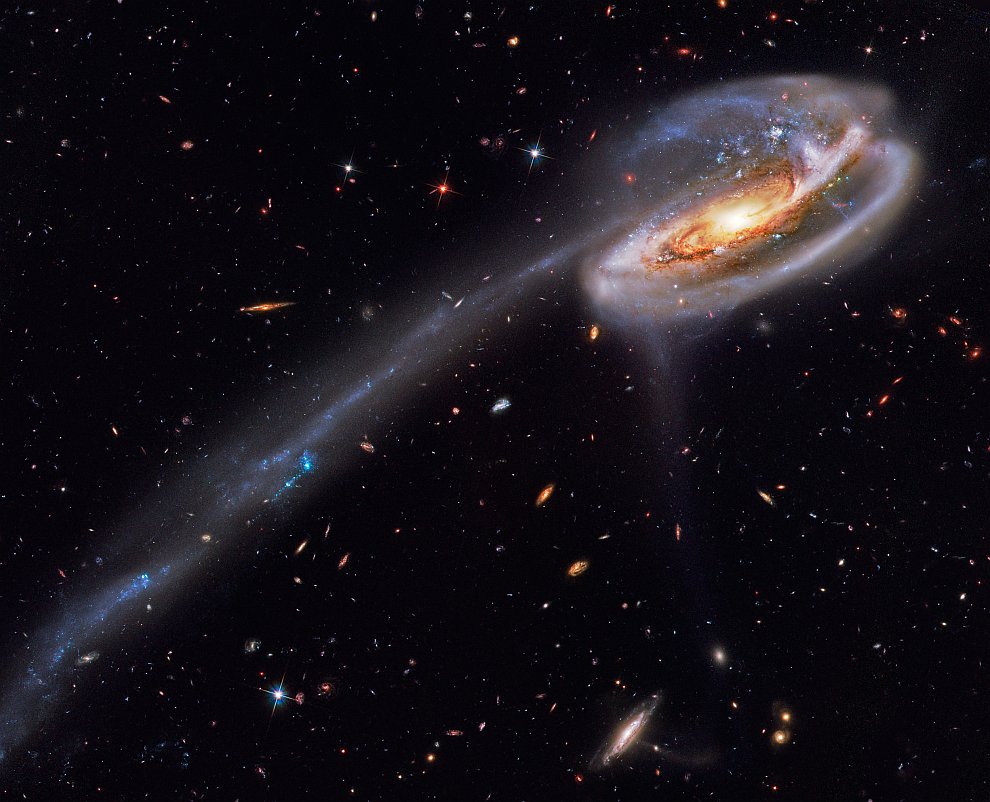 Галактика Арп 188 — галактика Головастик