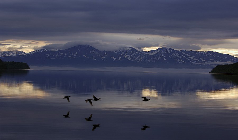 Ducks over Kronotskoye Lake