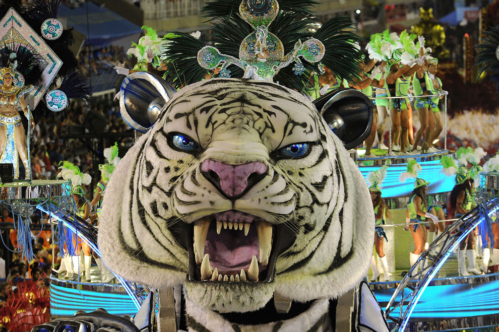 Бразильские карнавалы 2013