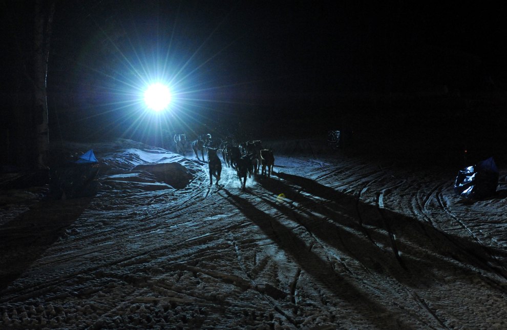 Iditarod Trail Sled Dog Race