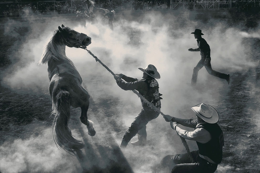 Ежегодная ярмарка по продаже лошадей, Майлз-Сити, штат Монтана