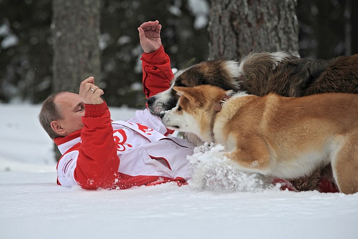Владимир Путин и его собаки