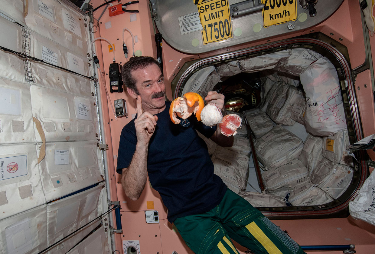 Крис Хэдфилд космонавт на МКС