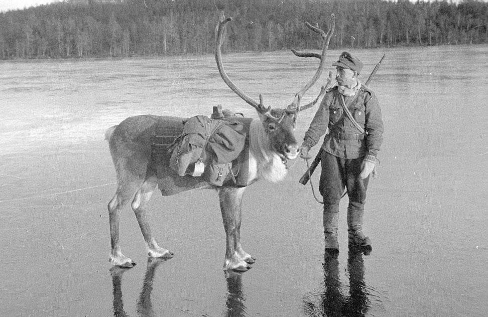 Финляндия во Второй мировой войне