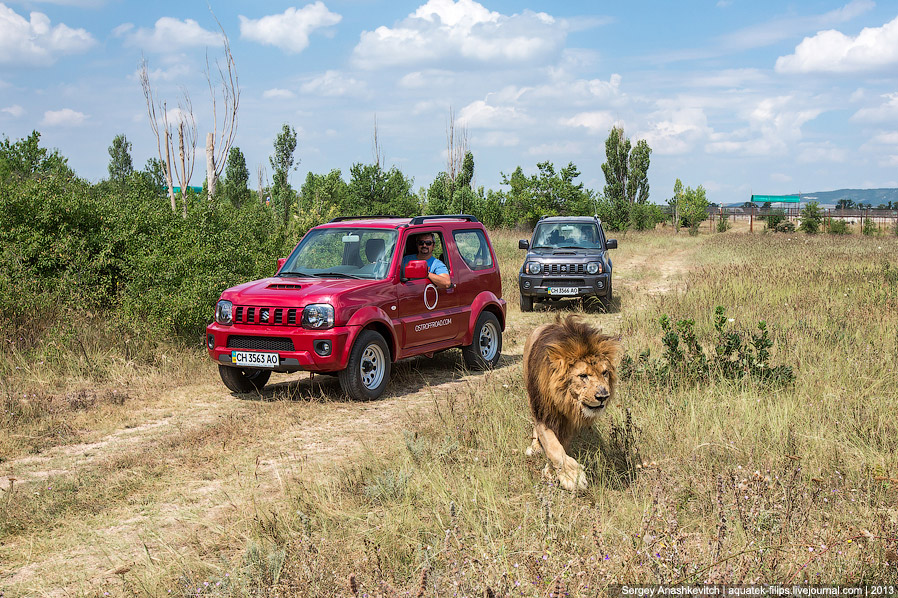 Парк львов в Крыму