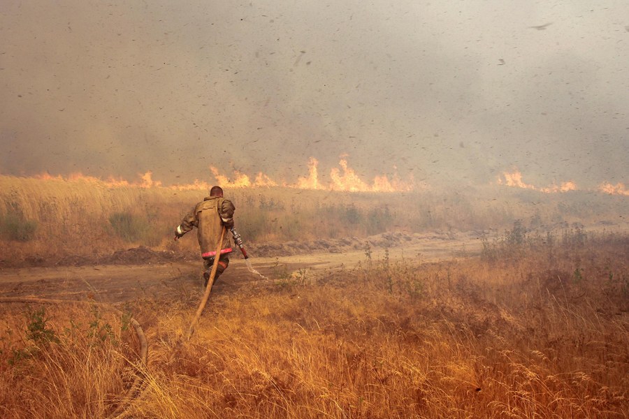 Природные пожары в России в 2010 году