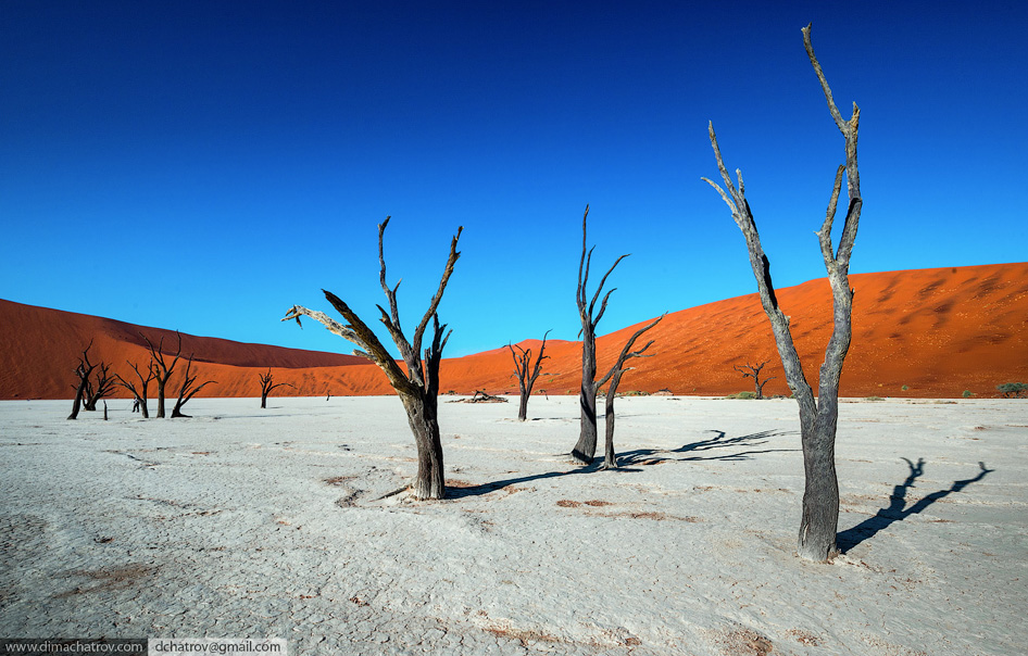 Пустыня Намиб. «Мертвое болото»