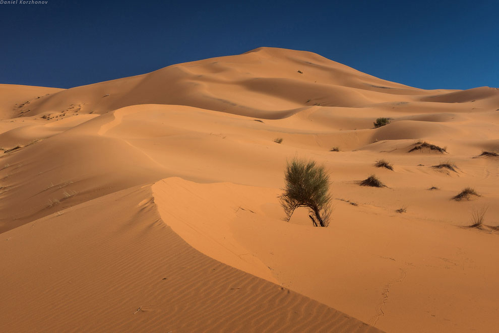 Большое путешествие по Марокко: холодный песок Мерзуги