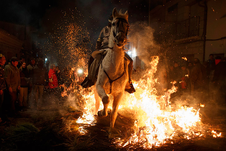 Лошади и огонь: День святого Антонио