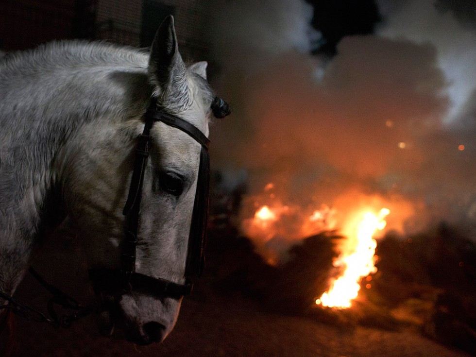 Лошади и огонь: День святого Антонио