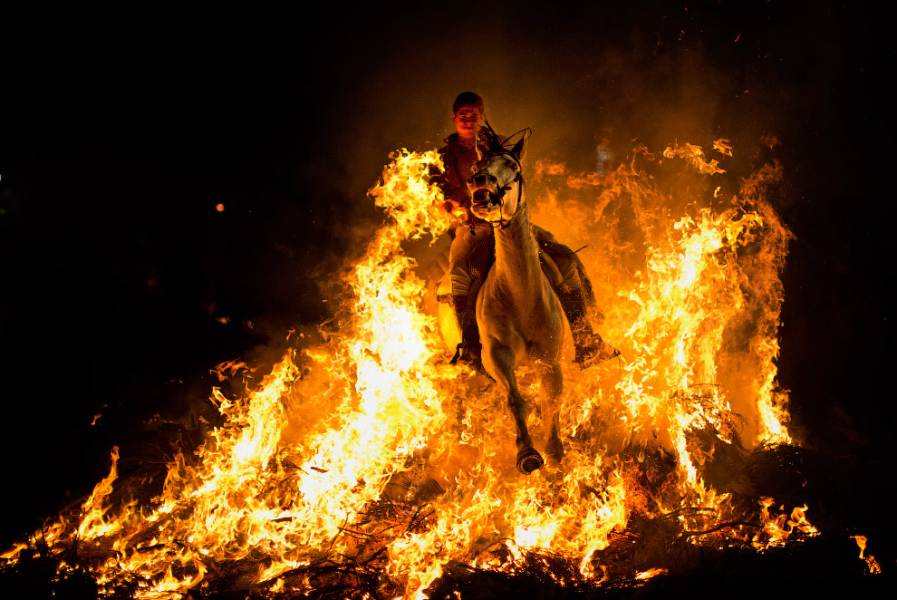 APTOPIX Spain San Anthony Bonfire Festival