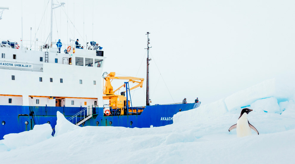Международная спасательная операция в Антарктиде продолжается