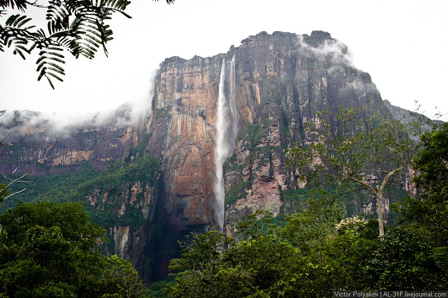 Анхель — самый высокий водопад в мире