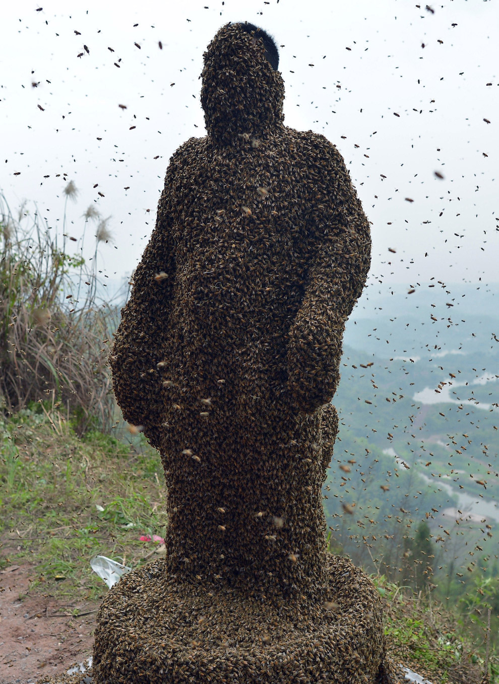«Живой костюм» из пчел