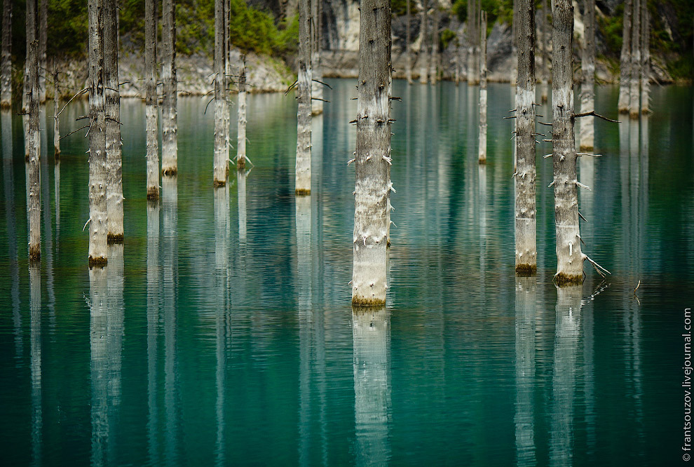 Озеро Каинды: утонувший лес